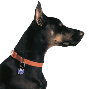 PET TAG - Hard Jewelry™